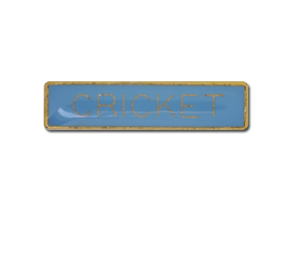 Cricket Small Bar Badge