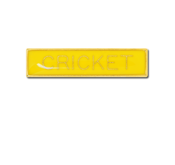 Cricket Small Bar Badge