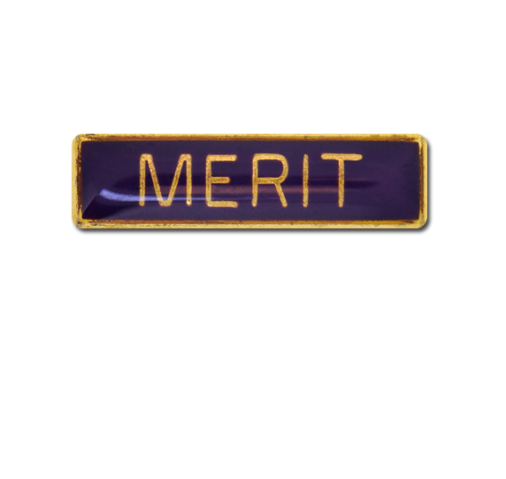 Merit Small Bar Badge