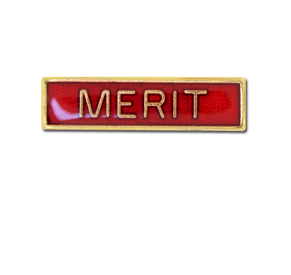 Merit Small Bar Badge