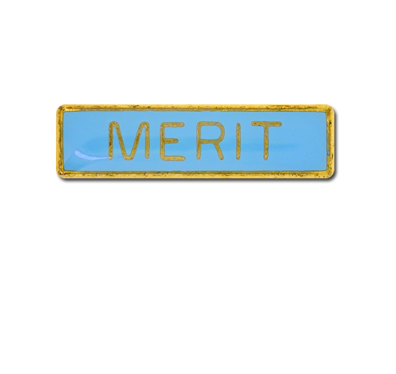 Merit Small Bar Badge