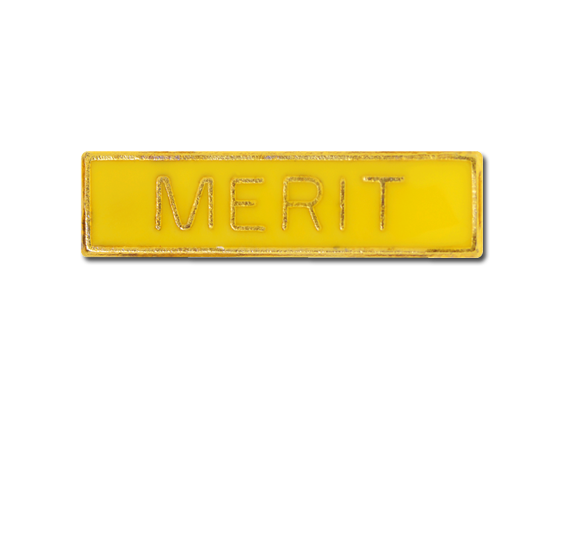 Merit Small Bar Badge