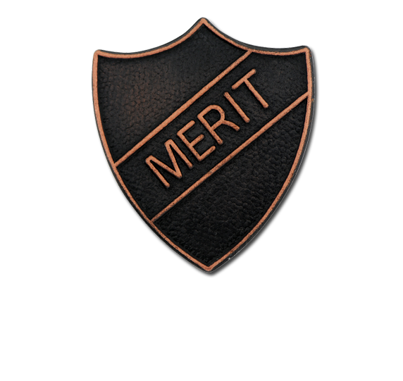 Merit Metal Shield Badge
