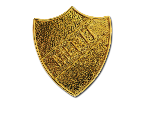 Merit Metal Shield Badge