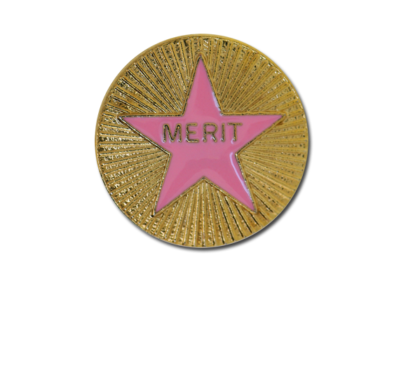 Enamelled Merit Round Badge