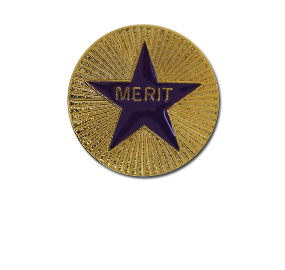 Enamelled Merit Round Badge