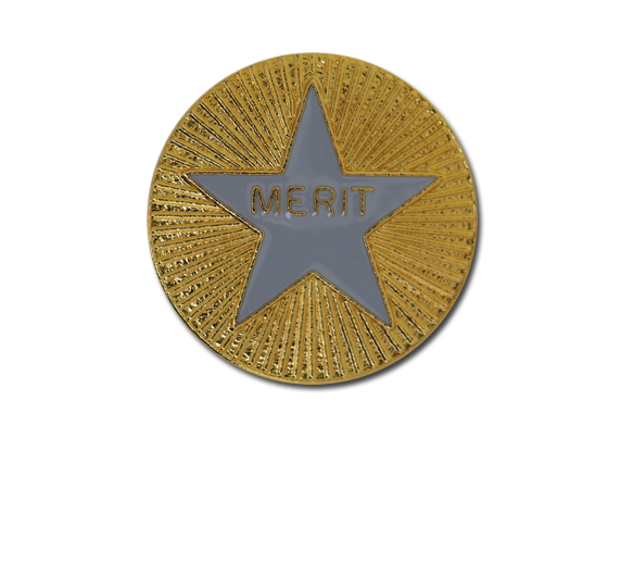 Enamelled Merit Round Badge