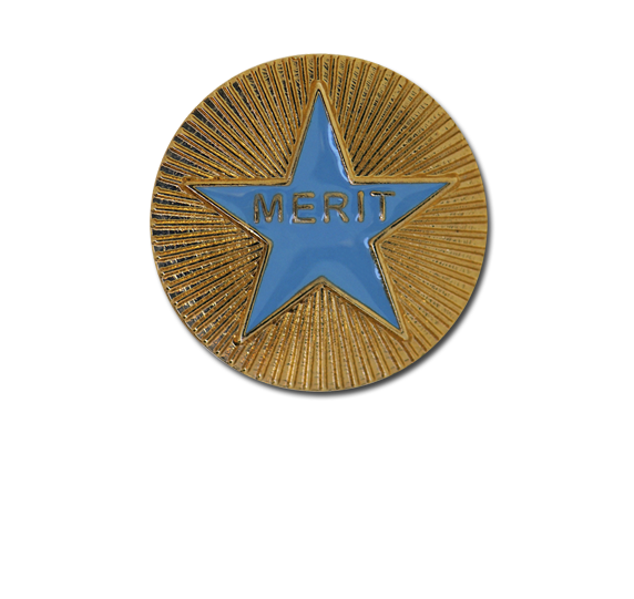 Enamelled Merit Round Badge