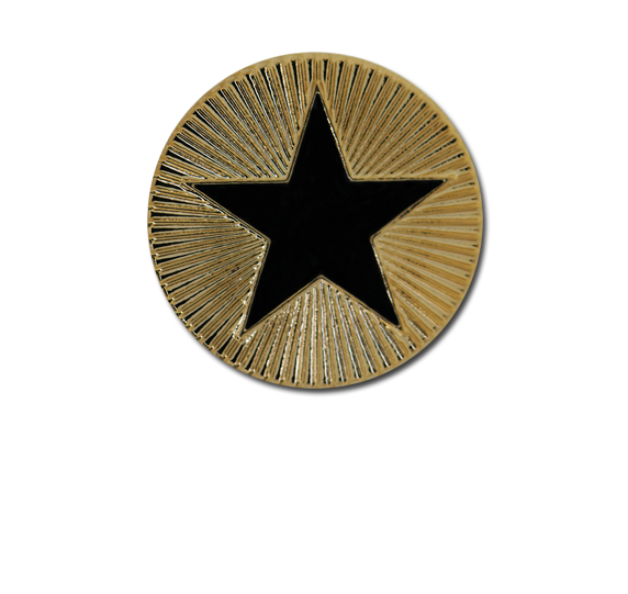 Enamelled Plain Star Round Badge