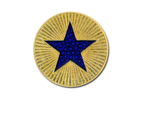 Enamelled Plain Star Round Badge