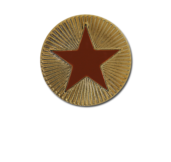 Enamelled Plain Star Round Badge