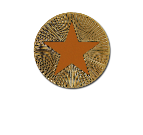 Enamelled Plain Star Round Badge