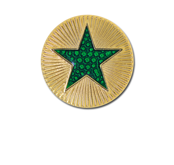 Enamelled Plain Star Round Badge