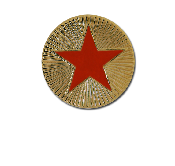 Enamelled Plain Star Round Badge