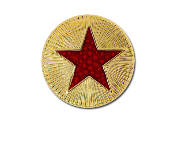 Enamelled Plain Star Round Badge