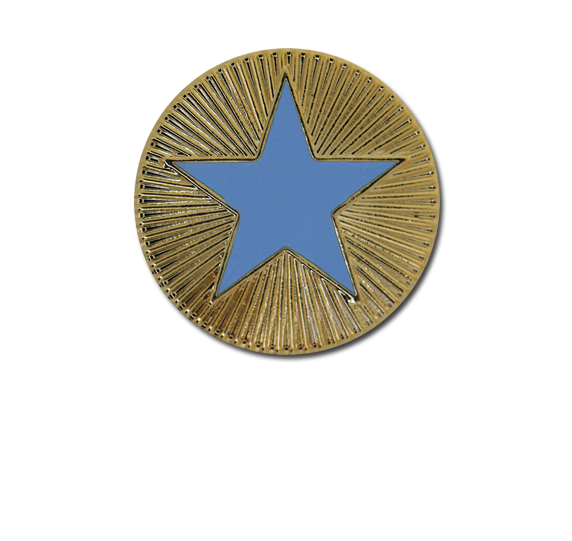 Enamelled Plain Star Round Badge