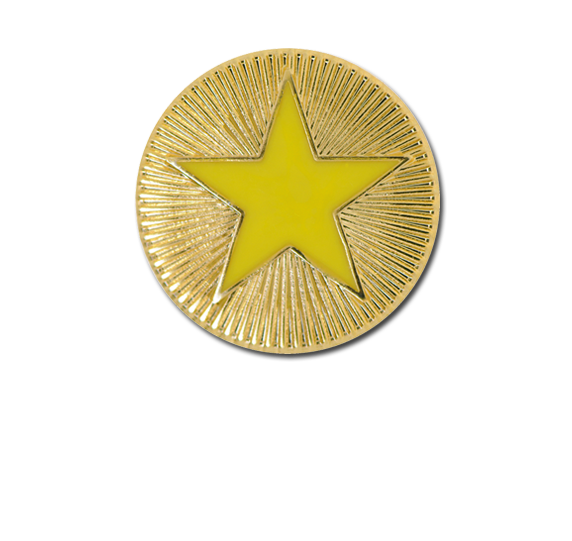 Enamelled Plain Star Round Badge