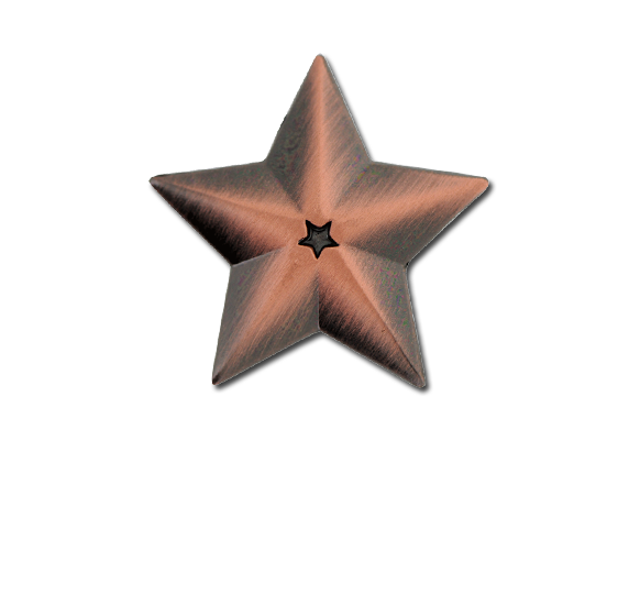 3D Star Star Badge