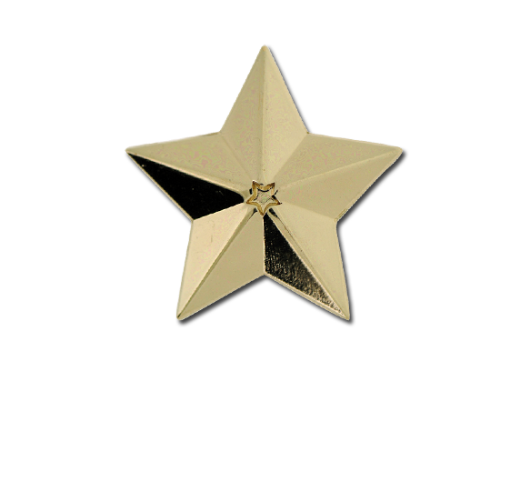 3D Star Star Badge