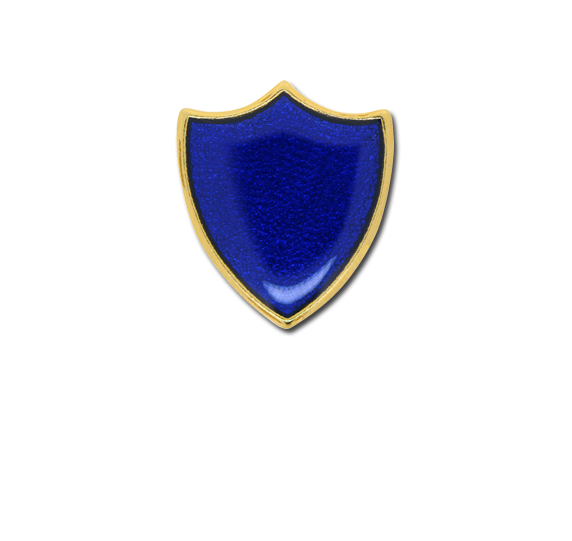 Small Enamelled Shield Badge