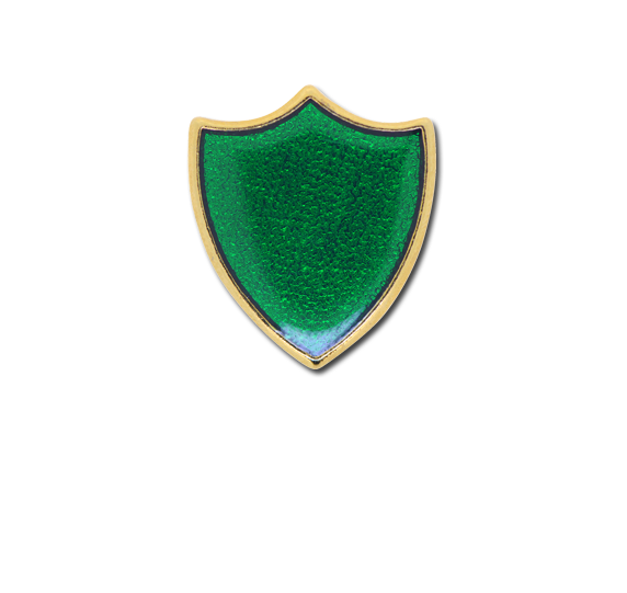 Small Enamelled Shield Badge