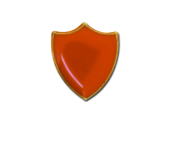 Small Enamelled Shield Badge