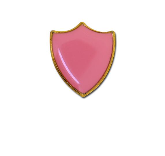 Small Enamelled Shield Badge