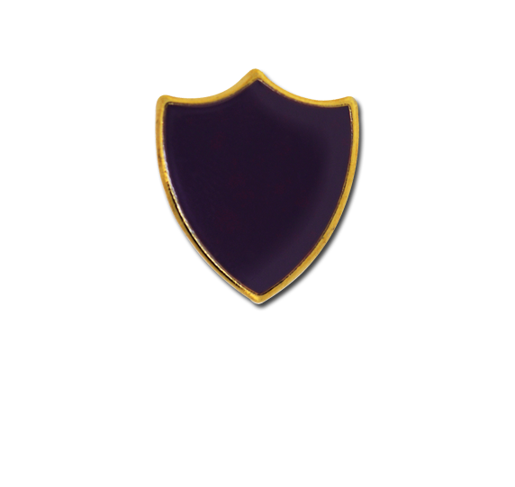 Small Enamelled Shield Badge