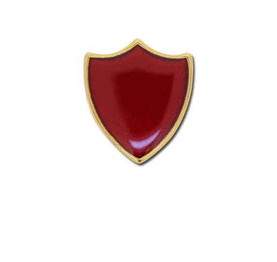 Small Enamelled Shield Badge