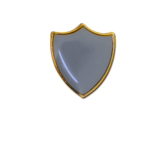 Small Enamelled Shield Badge