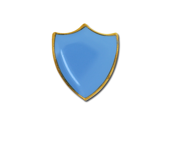 Small Enamelled Shield Badge