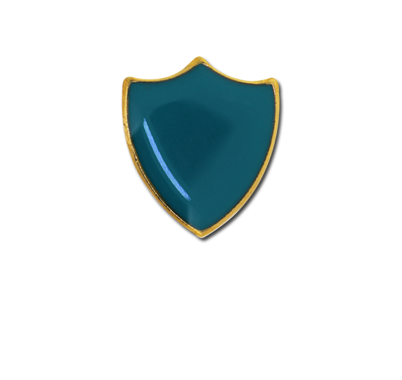 Small Enamelled Shield Badge