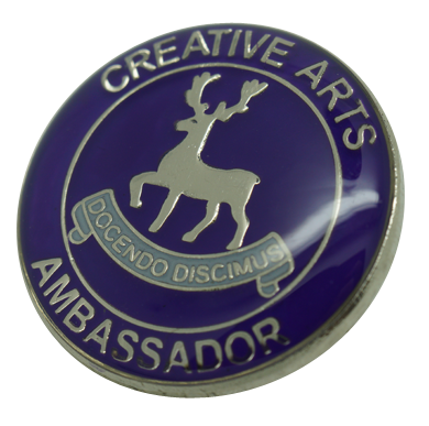 Example reward badges for schools