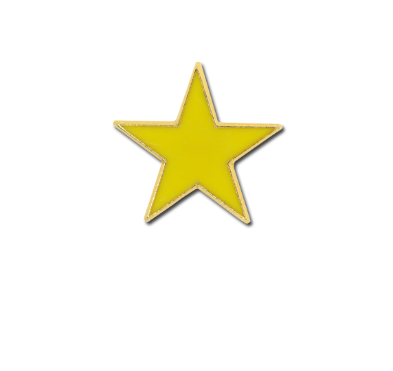 Small Enamelled Star Badge