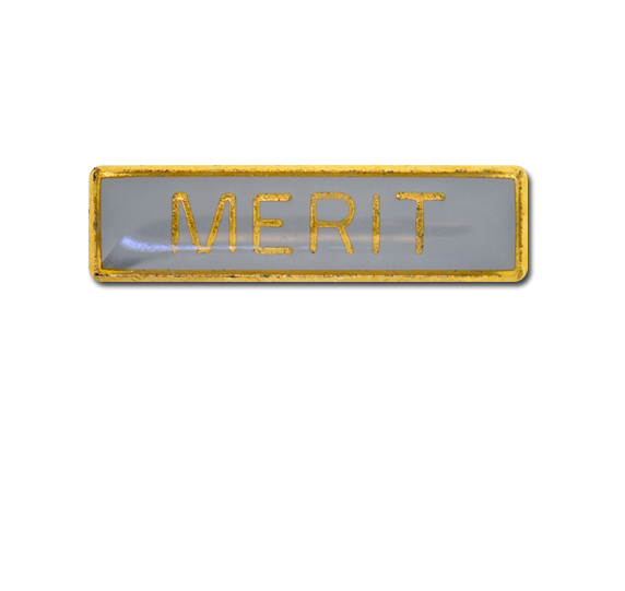 Merit Small Bar Badge