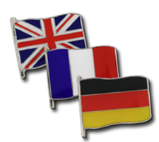 Small Flag Badges