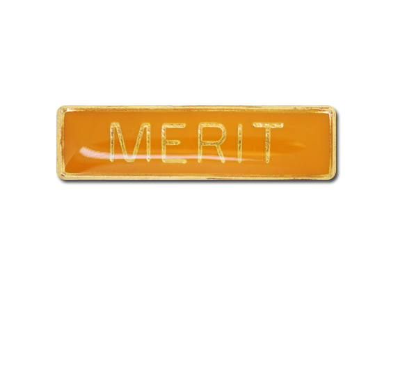 Merit Small Bar Badge