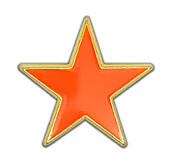 Small Neon Enamelled Star Badge