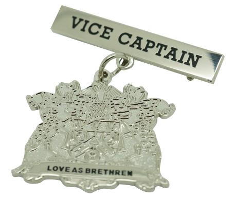 Example school captain badge